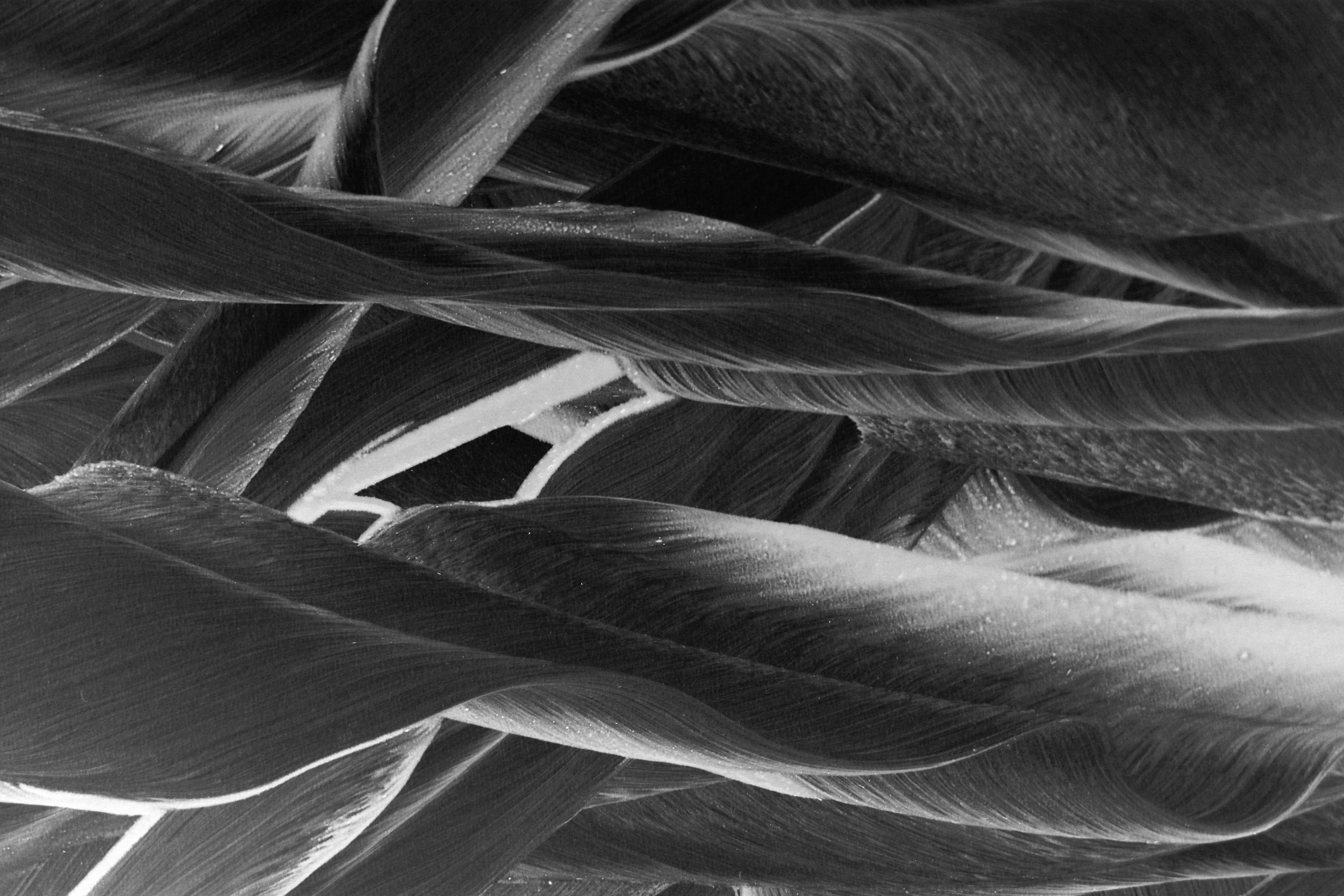 Soft feather microstructure suggesting lightweight sleep comfort